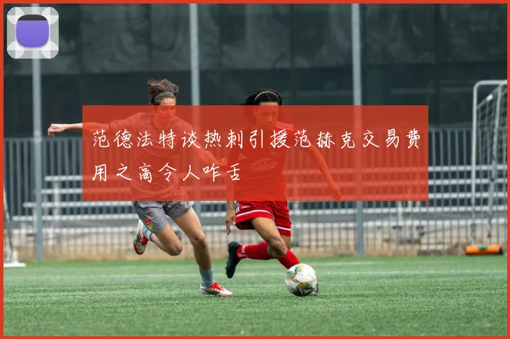 范德法特谈热刺引援范赫克交易费用之高令人咋舌