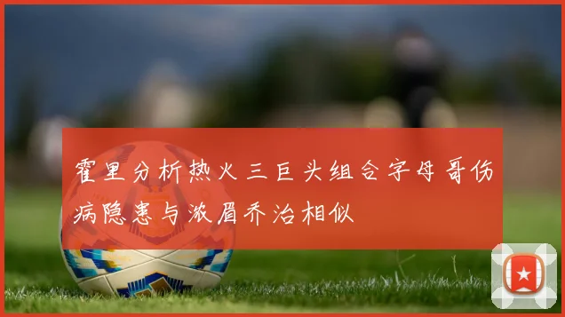 霍里分析热火三巨头组合字母哥伤病隐患与浓眉乔治相似