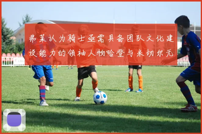 弗莱认为骑士亟需具备团队文化建设能力的领袖人物哈登与米切尔无法胜任